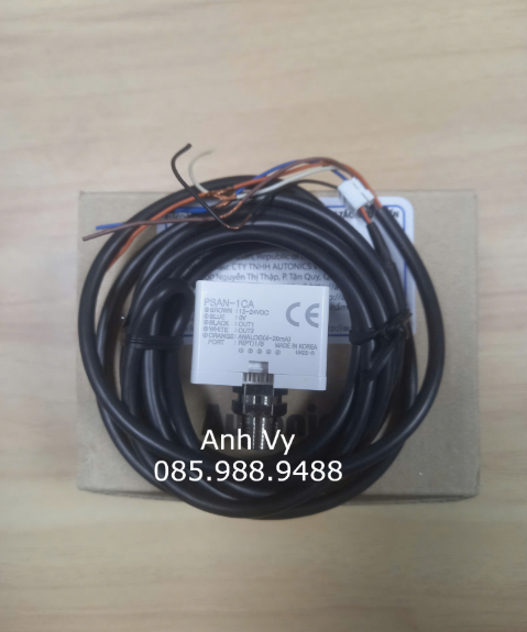 Cảm biến áp suất Autonics PSAN-1CA-R1/8 - Ảnh 3